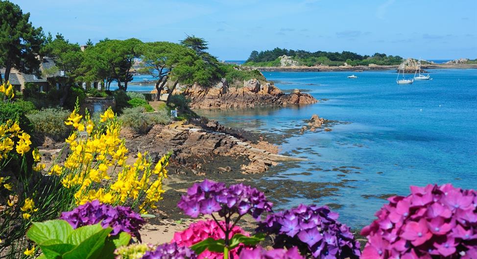 L'île de Bréhat près du camping 3 étoiles Armor Loisirs à Trébeurden Côtes d'Armor-Bretagne - Camping Armor Loisirs
