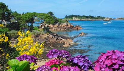 L'île de Bréhat près du camping 3 étoiles Armor Loisirs à Trébeurden Côtes d'Armor-Bretagne - Camping Armor Loisirs
