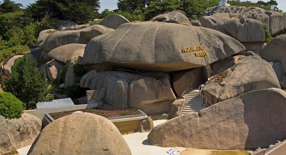 Aquarium marin de Trégastel près du camping Armor Loisirs avec piscine sur la Côte de Granit Rose - Camping Armor Loisirs