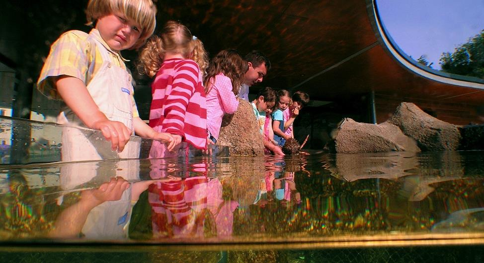 Aquarium marin de Trégastel près du camping 3 étoiles Armor Loisirs à Trébeurden, location emplacements, mobil homes et chalet, camping piscine sur la Côte de Granit Rose près de Perros Guirec - Camping Armor Loisirs