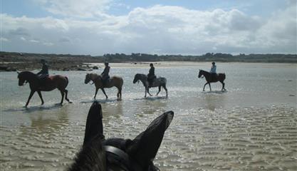  Camping Trébeurden - balade à cheval sur la plage - Camping Armor Loisirs