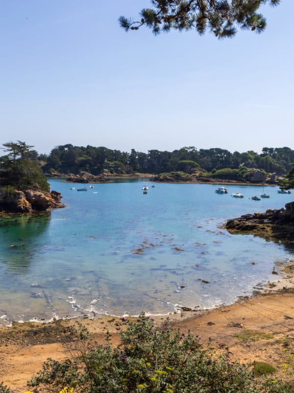 ile de bréhat, britany, france