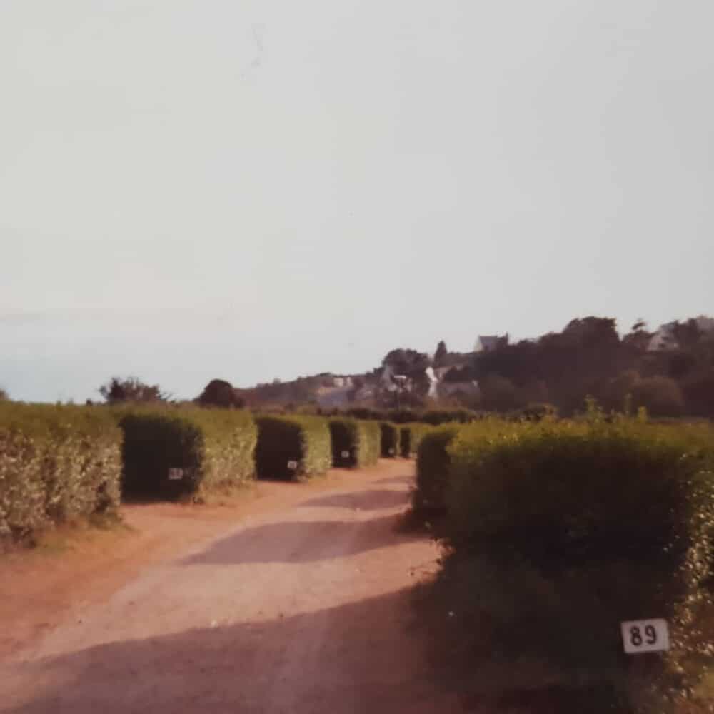 Allée de camping bordée de haies numérotées